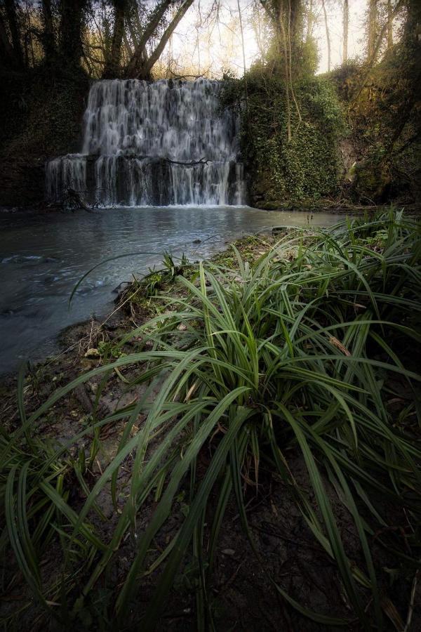 Vila Il Molinaccio Al Rio Chiaro Civitella dʼAgliano Exteriér fotografie