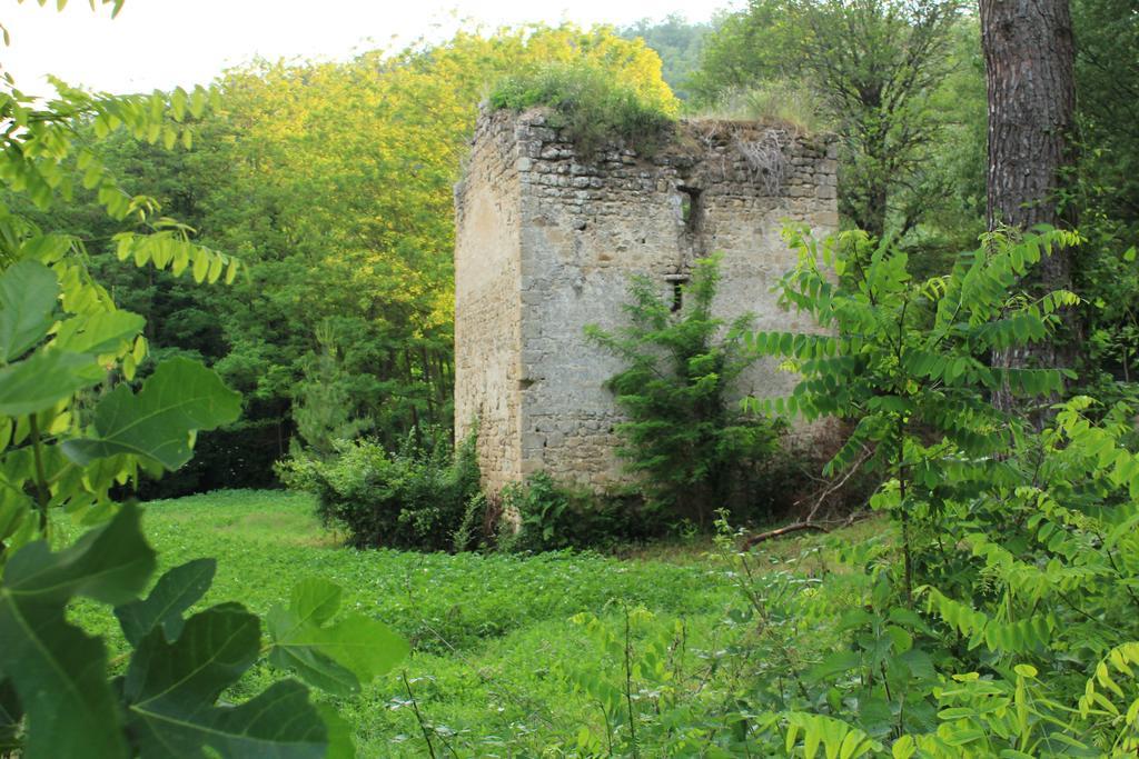 Vila Il Molinaccio Al Rio Chiaro Civitella dʼAgliano Exteriér fotografie