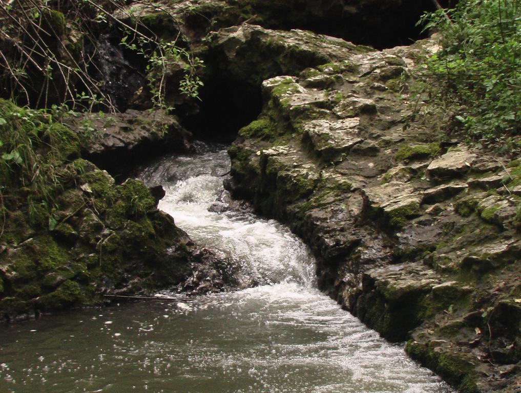 Vila Il Molinaccio Al Rio Chiaro Civitella dʼAgliano Exteriér fotografie
